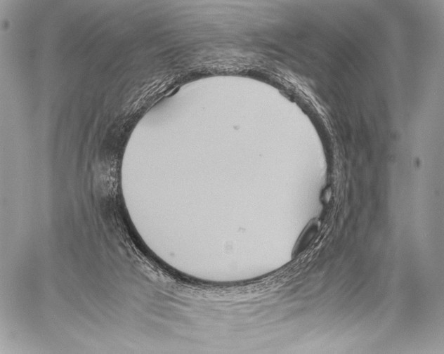 X0000057580017200510171719