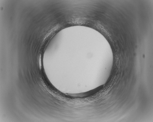 X0000057580020200510171719