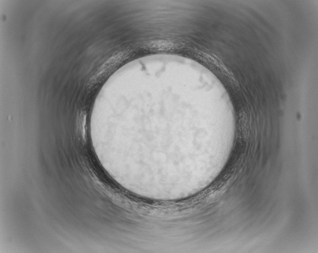 X0000057580024200510171719