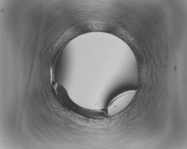 X0000057580027200510171719