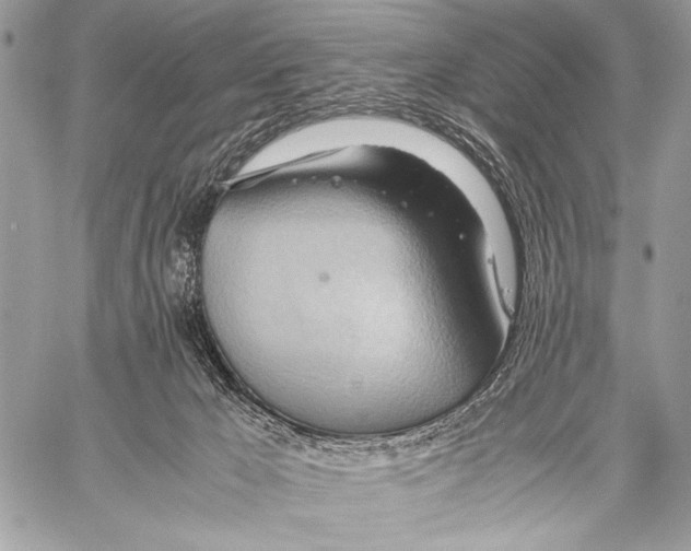 X0000057580029200510171719