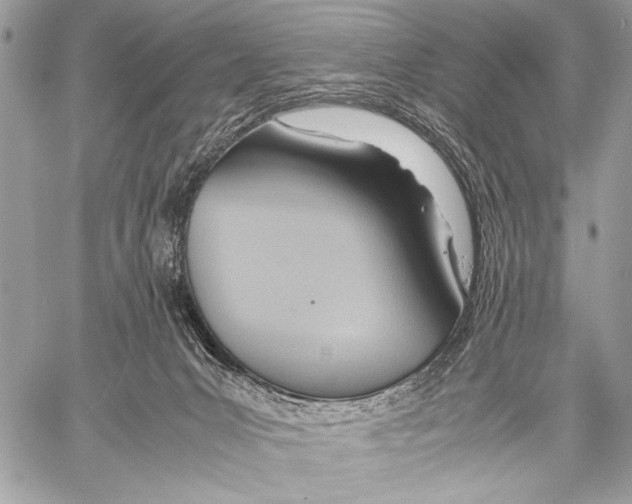 X0000057580031200510171719