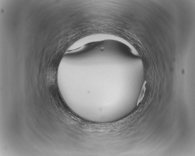 X0000057580033200510171719