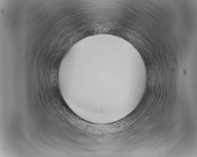 X0000057580034200510171719