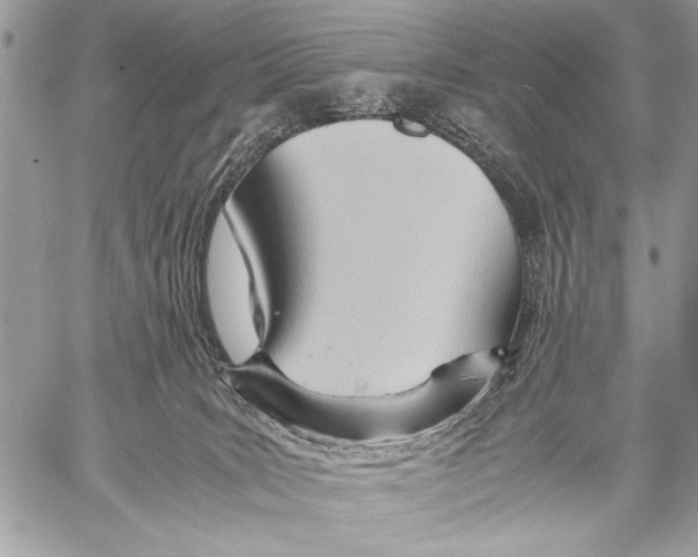 X0000057580035200510171719