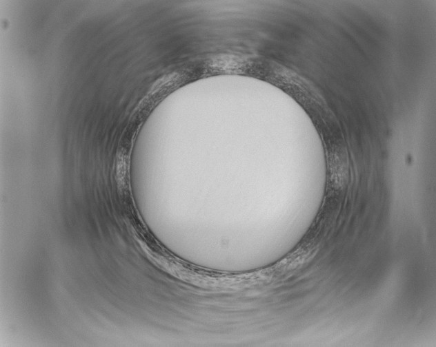 X0000057580036200510171719