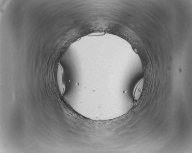 X0000057580037200510171719