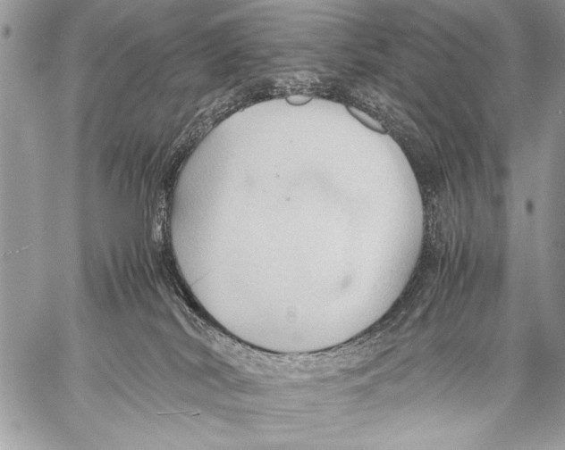 X0000057580038200510171719