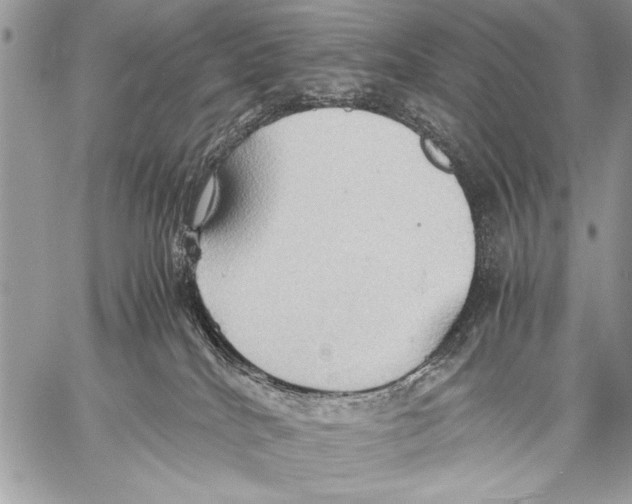 X0000057580040200510171719