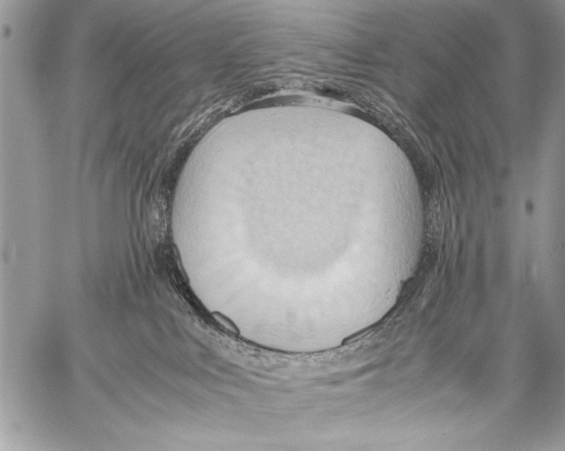 X0000057580043200510171719