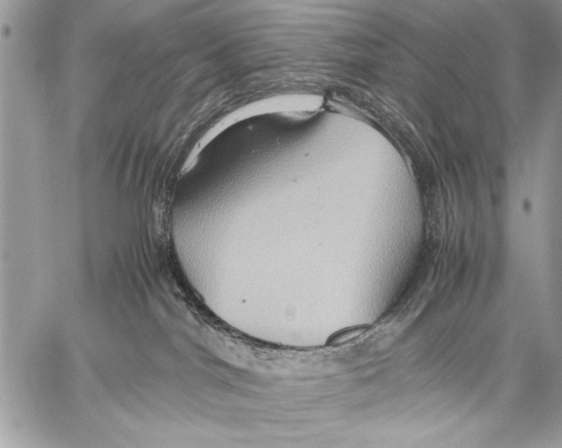 X0000057580044200510171719