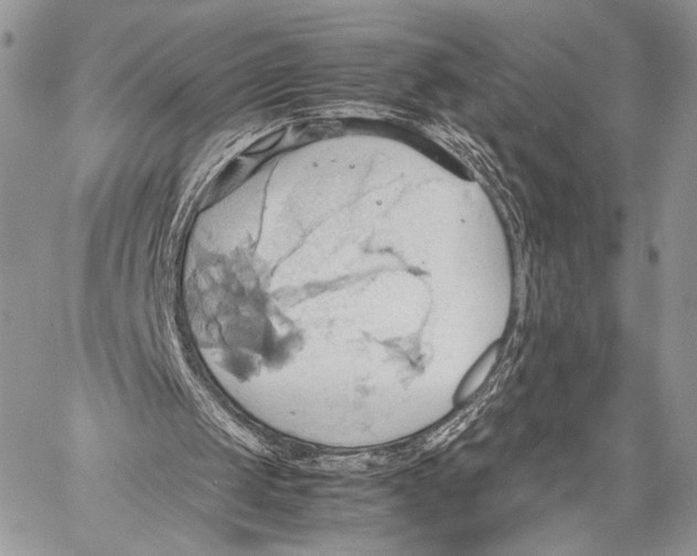 X0000057580049200510171718