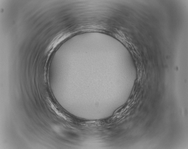 X0000057580050200510171718