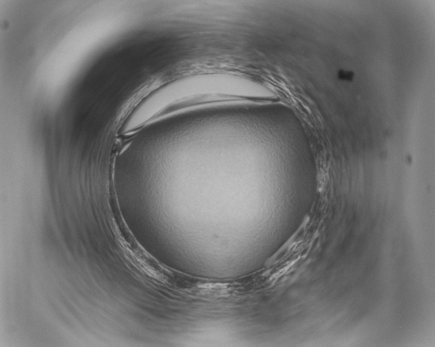 X0000057580052200510171718