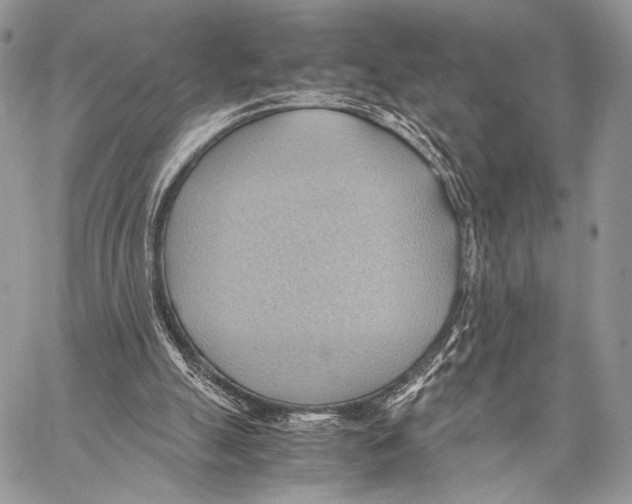 X0000057580055200510171718