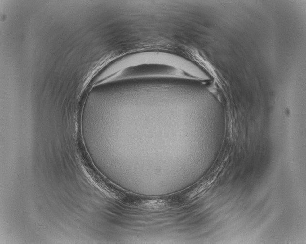 X0000057580059200510171718