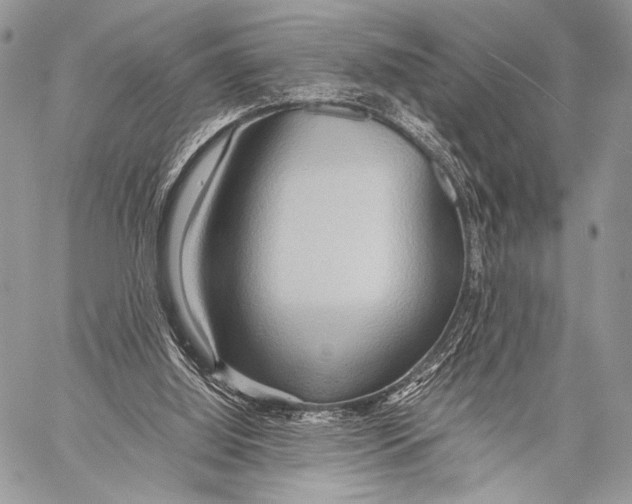 X0000057580060200510171718