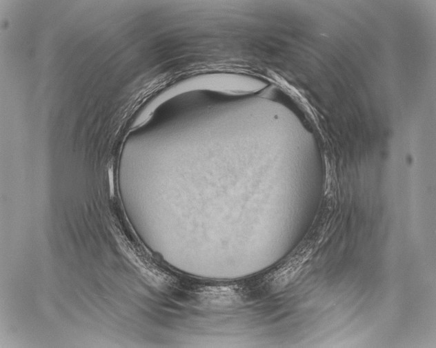 X0000057580061200510171718