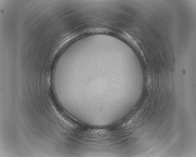 X0000057580063200510171718