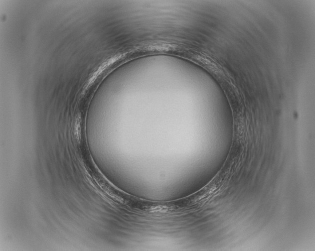 X0000057580064200510171718