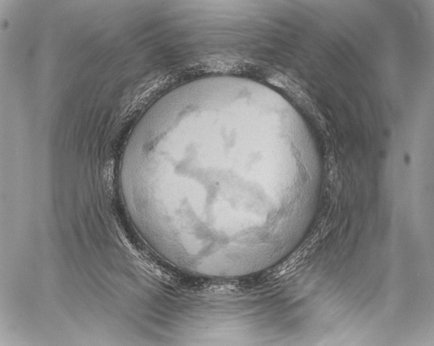 X0000057580066200510171718