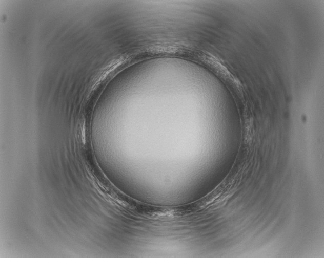 X0000057580068200510171718