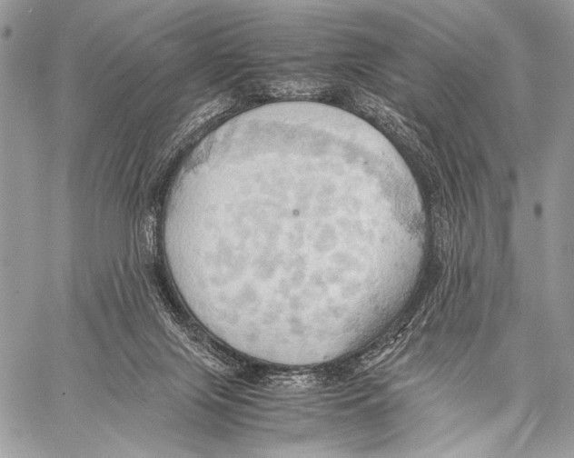 X0000057580071200510171718