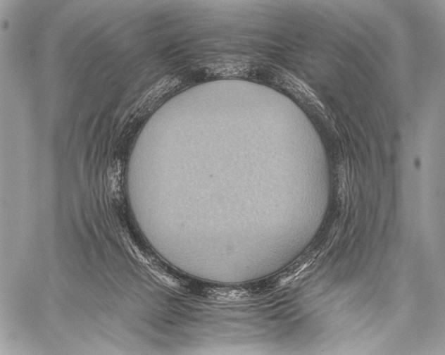 X0000057580073200510171718