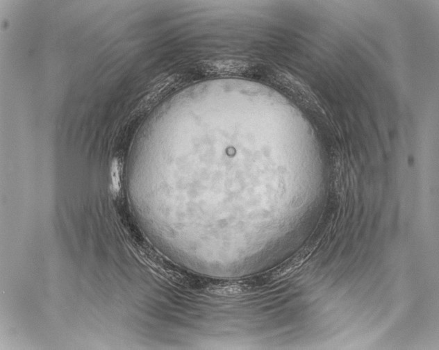 X0000057580075200510171718