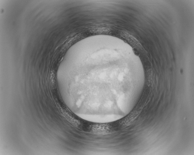 X0000057580077200510171718