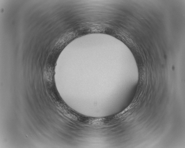 X0000057580078200510171718