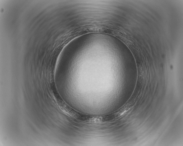 X0000057580080200510171718