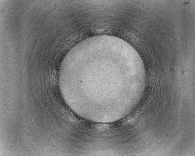 X0000057580085200510171718