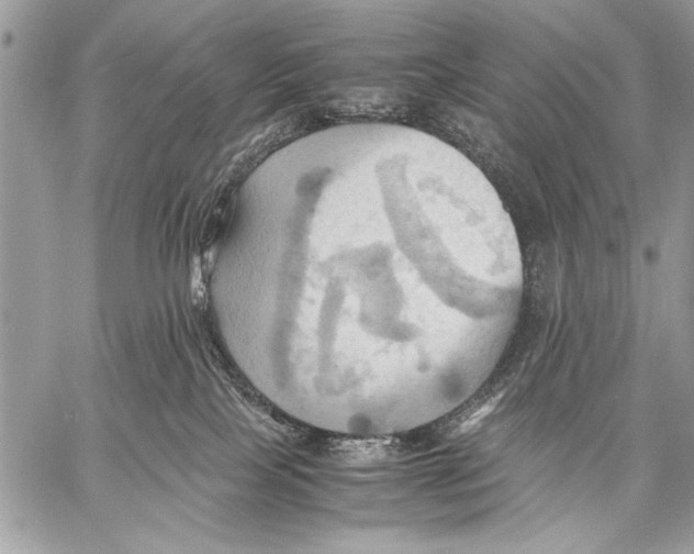 X0000057580089200510171718