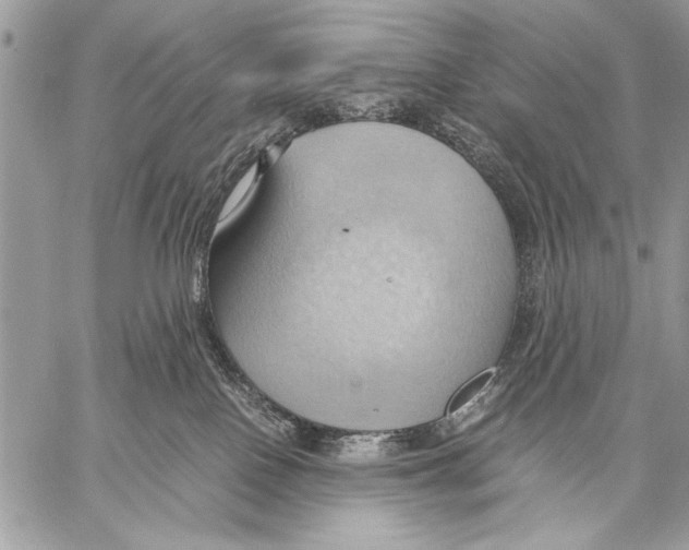 X0000057580090200510171718