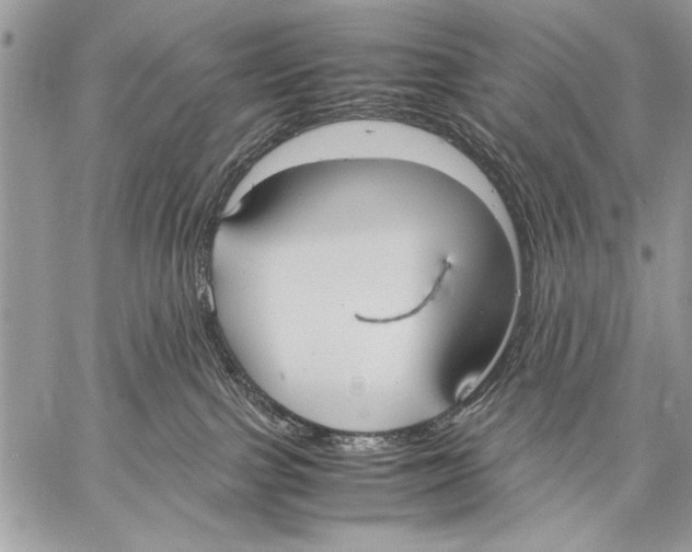 X0000057580091200510171718