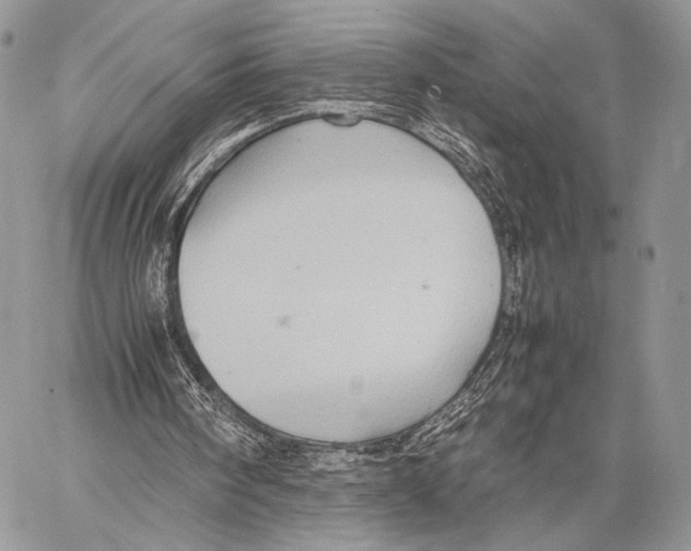 X0000057580098200510171718