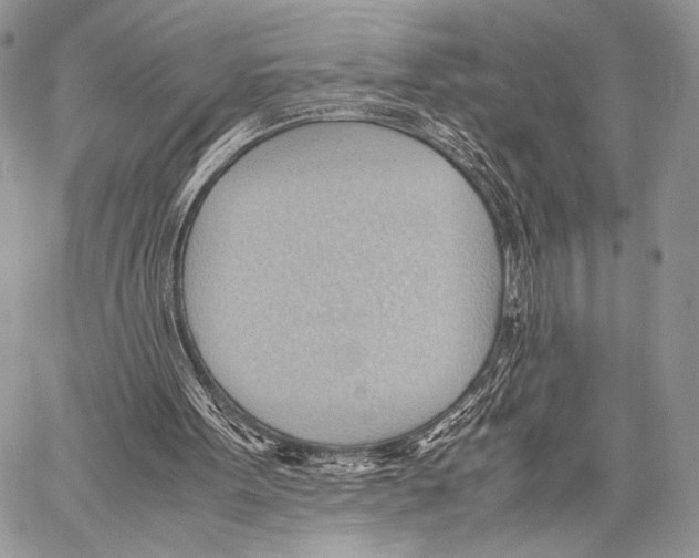 X0000057580099200510171718