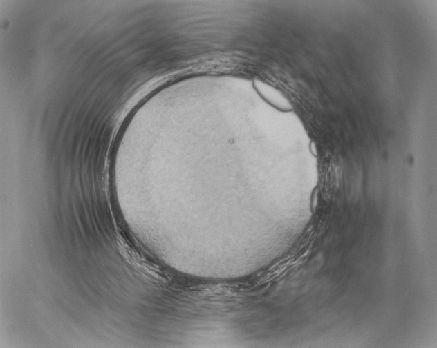 X0000057580100200510171718