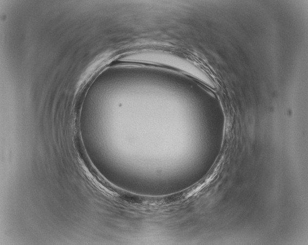 X0000057580101200510171718