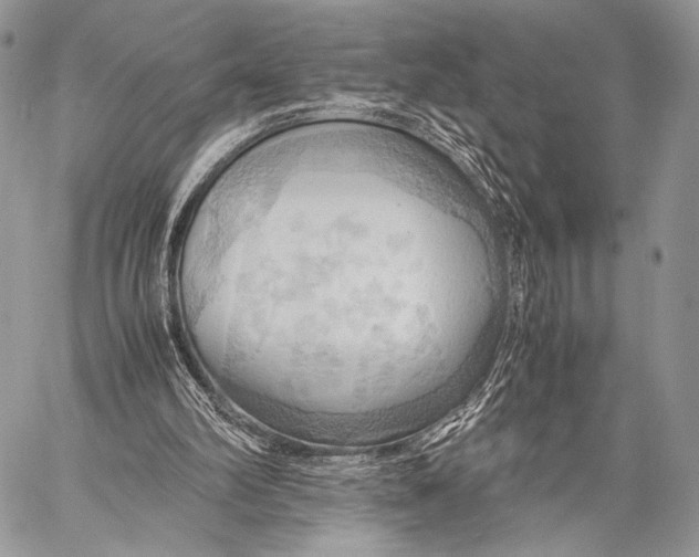 X0000057580102200510171718