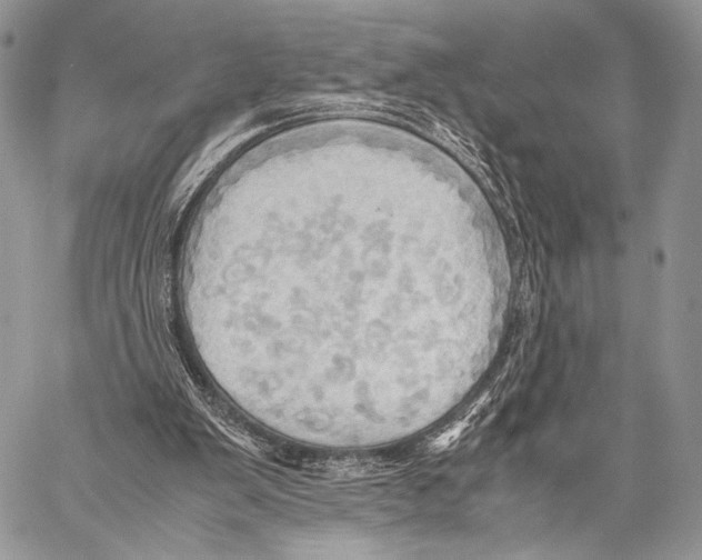 X0000057580103200510171718