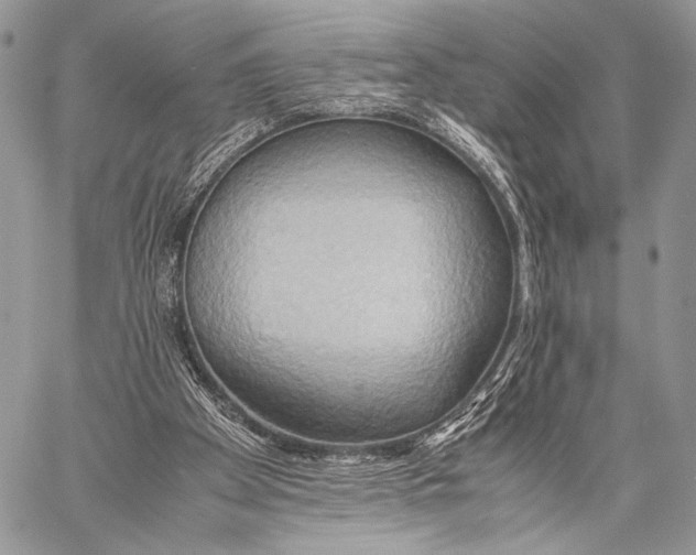 X0000057580105200510171718