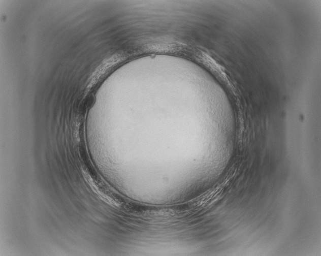 X0000057580106200510171718