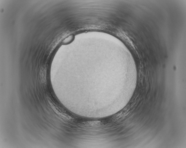 X0000057580108200510171718