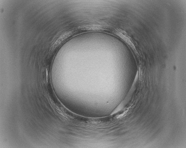 X0000057580109200510171718