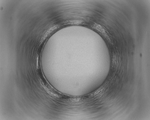 X0000057580110200510171718