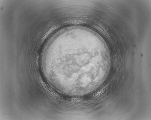 X0000057580111200510171718