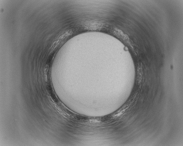 X0000057580114200510171717