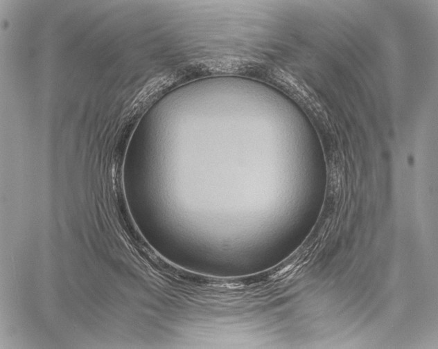 X0000057580117200510171717